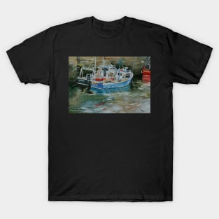 Boats in the snow T-Shirt